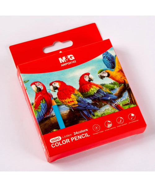 M&G Color pencils Pack