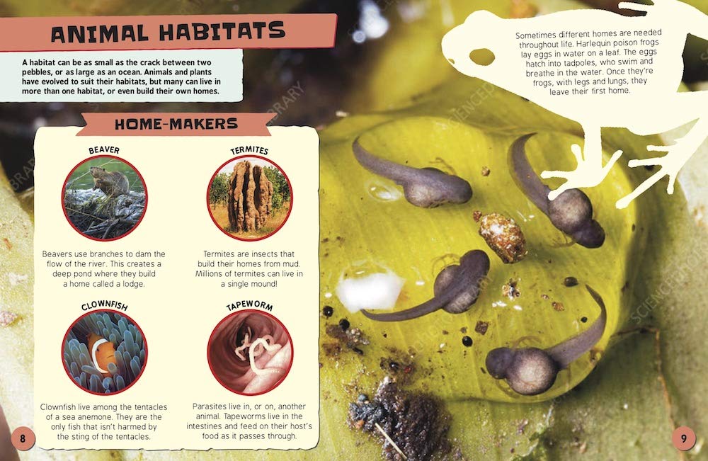 Hazardous Habitats and Endangered Animals: How is the natural world changing, and how can you protect it?: 3 (Earth Action)